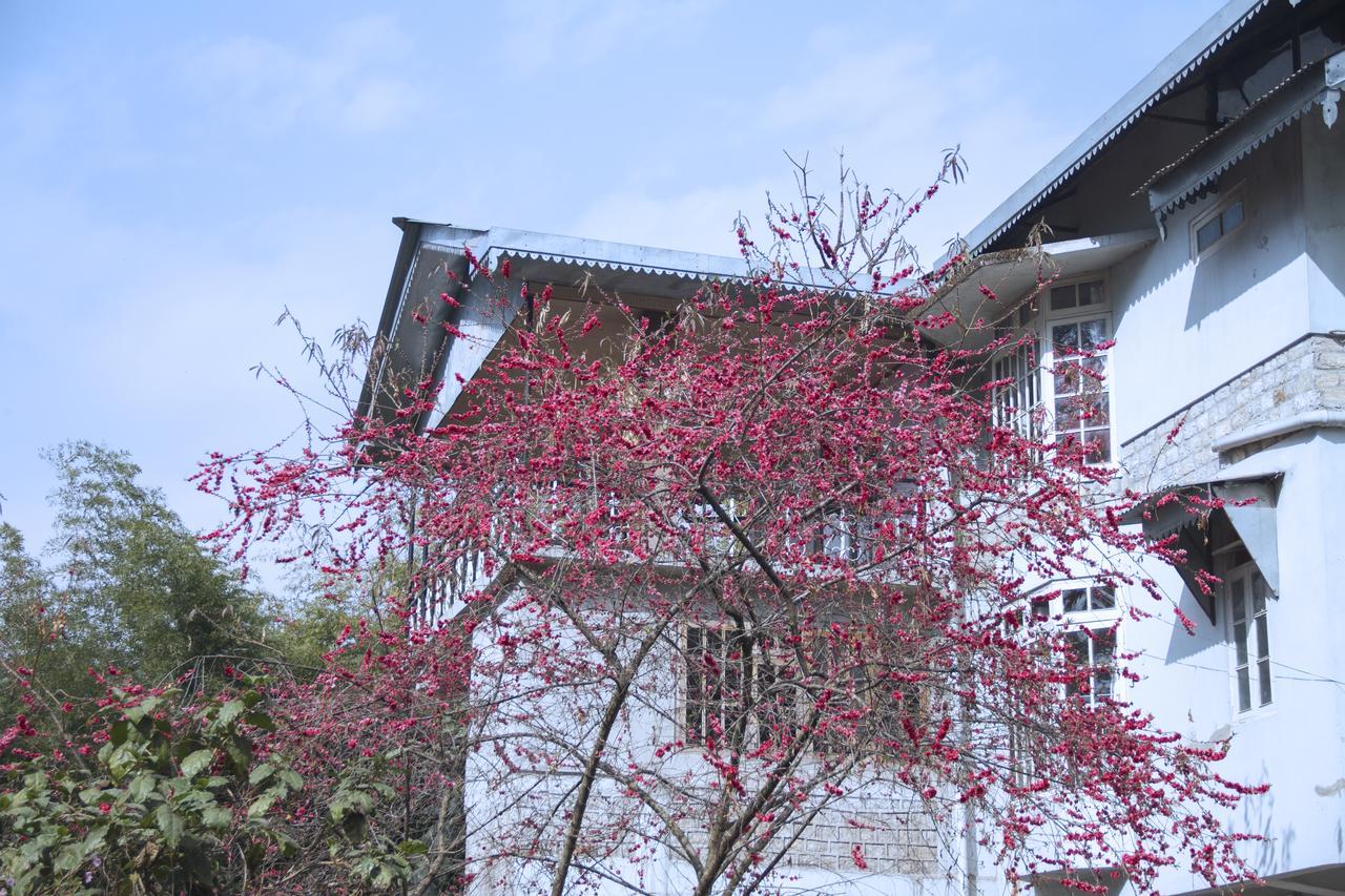 The Mazong Hotel Gangtok Exterior photo